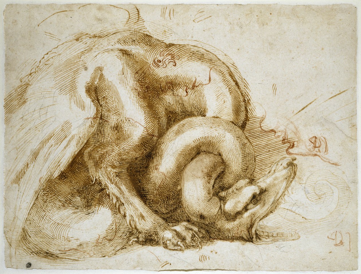 विंग्ड मॉन्स्टर का अध्ययन, c.1525 (कागज पर लाल und ब्लैक चॉक) द्वारा माइकल एंजेलो बुओनारोती