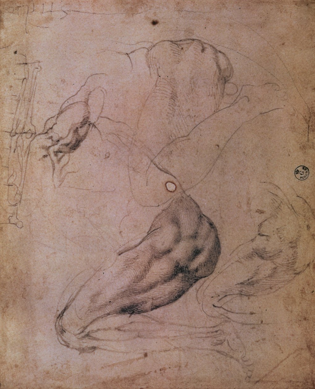 सिस्टिन चैपल सीलिंग (1508-12): द ओरिजिनल सिन (कागज पर लकड़ी का कोयला) के दृश्य से ईव की आकृति के रेखाचित्र द्वारा माइकल एंजेलो बुओनारोती