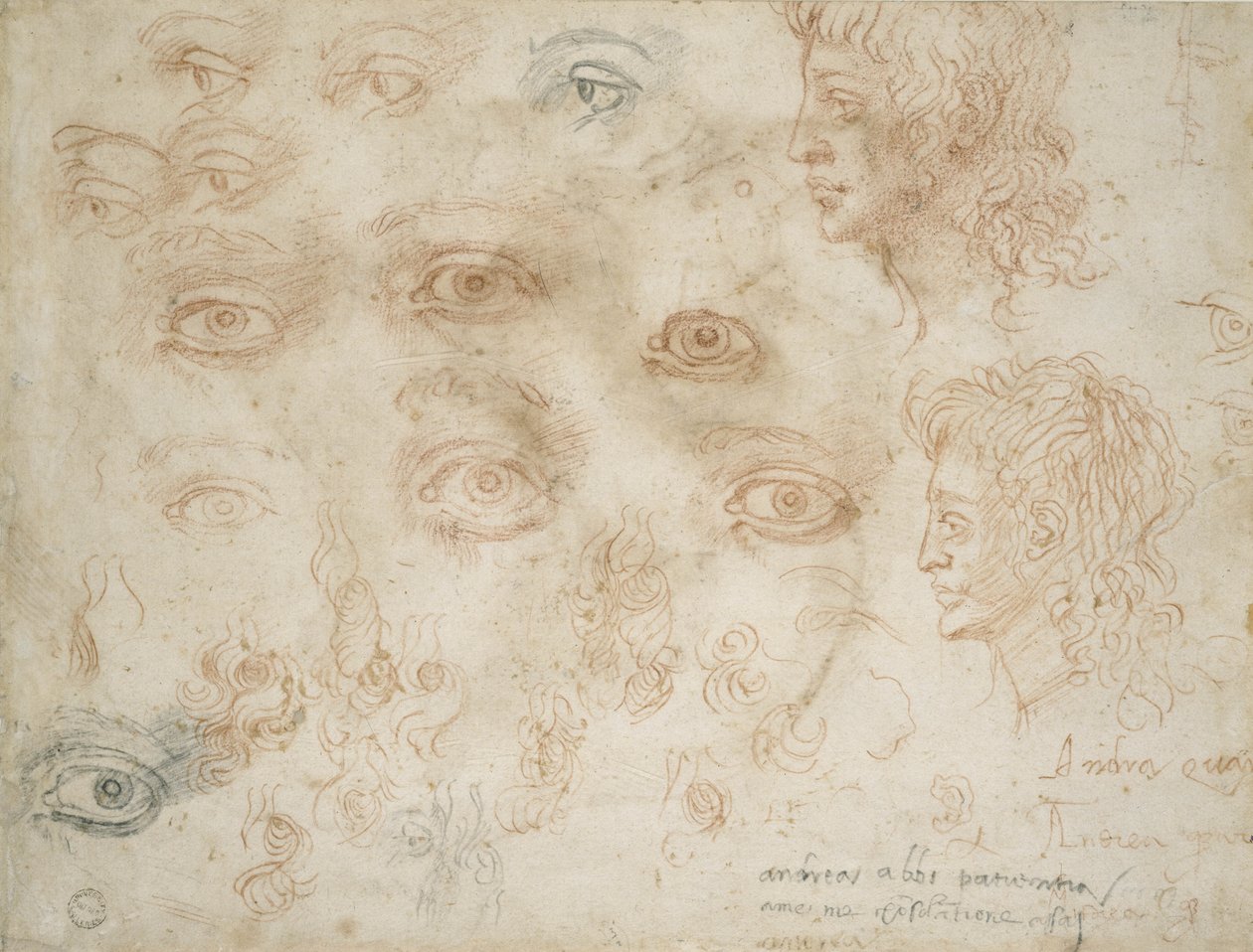 दो प्रमुखों का अध्ययन, c.1525 (कागज पर चाक) द्वारा माइकल एंजेलो बुओनारोती