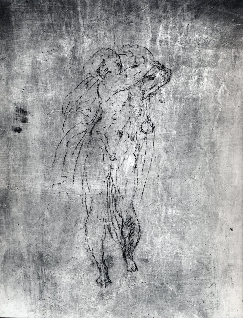 पुरुष आकृति की दीवार ड्राइंग, c.1530 (प्लास्टर पर लकड़ी का कोयला) द्वारा माइकल एंजेलो बुओनारोती
