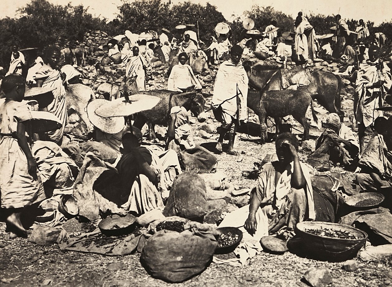 फासिस्ट युग में 'बिल्डिंग ए एम्पायर': एबिसिनियन मार्केट, 09/05/1936 (बी/डब्ल्यू फोटो) द्वारा मोडेस्टिनो बाल्डिनेटी