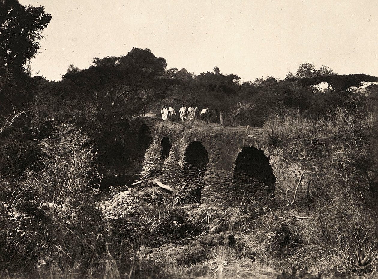 फासीवादी युग में 'बिल्डिंग ए एम्पायर': पुर्तगाली पुल, 09/05/1936 (बी/डब्ल्यू फोटो) द्वारा मोडेस्टिनो बाल्डिनेटी