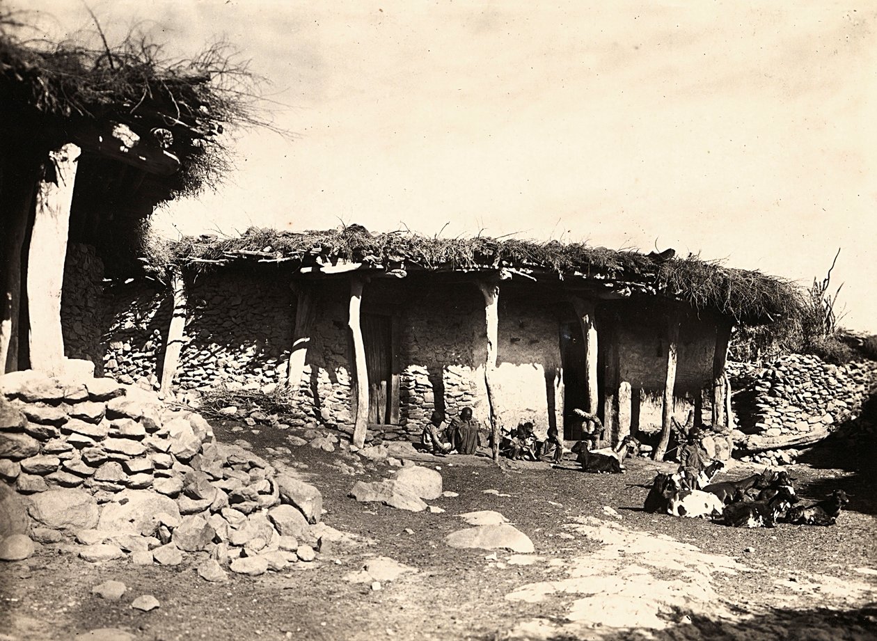 फासीवादी युग में 'बिल्डिंग ए एम्पायर': एबिसिनियन हाउस एट एडम, 09/05/1936 (बी/डब्ल्यू फोटो) द्वारा मोडेस्टिनो बाल्डिनेटी