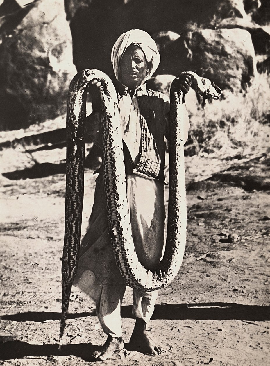 फासीवादी युग में 'बिल्डिंग ए एम्पायर': एक अजगर के साथ स्वदेशी, 09/05/1936 (बी/डब्ल्यू फोटो) द्वारा मोडेस्टिनो बाल्डिनेटी