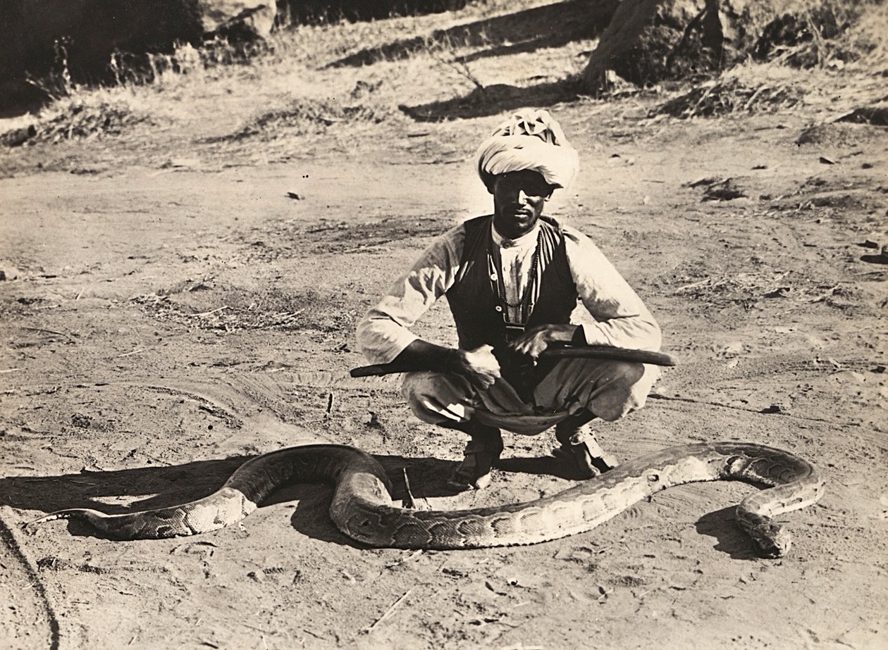 फासीवादी युग में 'बिल्डिंग ए एम्पायर': एक अजगर के साथ स्वदेशी, 09/05/1936 (बी/डब्ल्यू फोटो) द्वारा मोडेस्टिनो बाल्डिनेटी