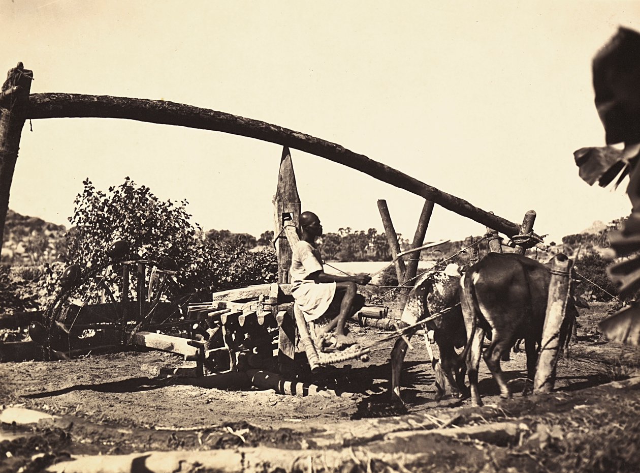 फासीवादी युग में 'बिल्डिंग ए एम्पायर': स्वदेशी नोरिया, 09/05/1936 (बी/डब्ल्यू फोटो) द्वारा मोडेस्टिनो बाल्डिनेटी