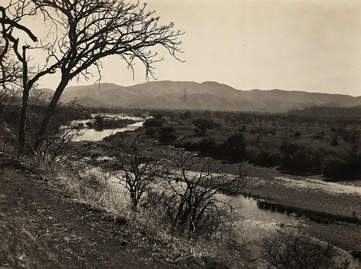 फासीवादी युग में 'बिल्डिंग ए एम्पायर': बियाघेला में सेटिट, 09/05/1936 (बी/डब्ल्यू फोटो) द्वारा मोडेस्टिनो बाल्डिनेटी