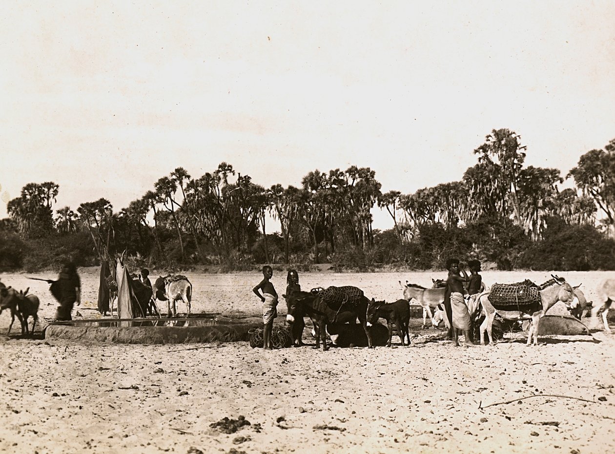 फासीवादी युग में 'बिल्डिंग ए एम्पायर': गस्क में कुएं, 09/05/1936 (बी/डब्ल्यू फोटो) द्वारा मोडेस्टिनो बाल्डिनेटी