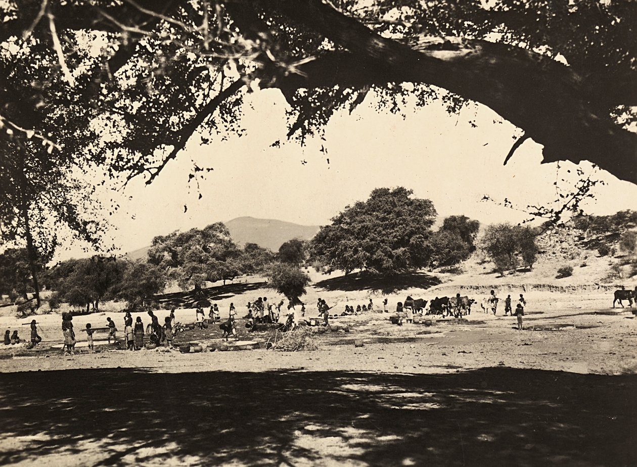 फासीवादी युग में 'बिल्डिंग ए एम्पायर': निचले मैदान में कुएं, 09/05/1936 (बी/डब्ल्यू फोटो) द्वारा मोडेस्टिनो बाल्डिनेटी