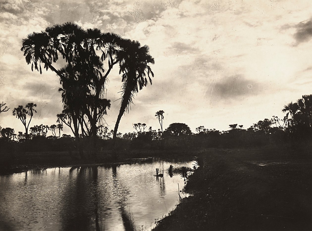 फासीवादी युग में 'बिल्डिंग ए एम्पायर': पश्चिमी निचला मैदान, 09/05/1936 (बी/डब्ल्यू फोटो) द्वारा मोडेस्टिनो बाल्डिनेटी