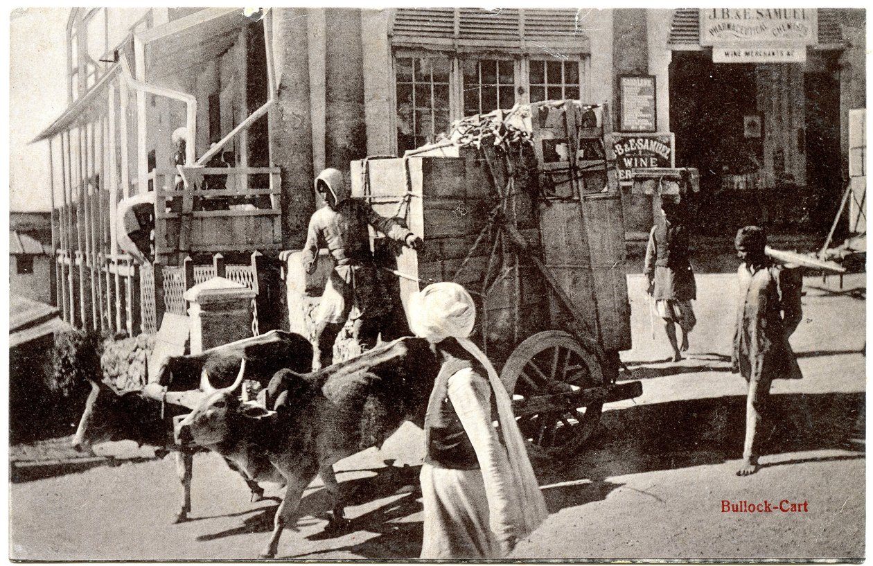 बैल-गाड़ी, c.1900-20 द्वारा मूरली धुर एंड संस