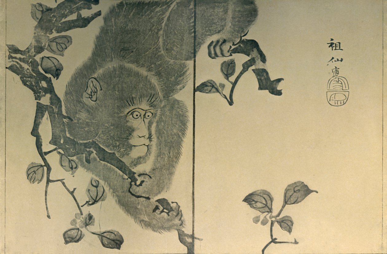 बंदर, 1815, 1924। द्वारा मोरी सोसेन