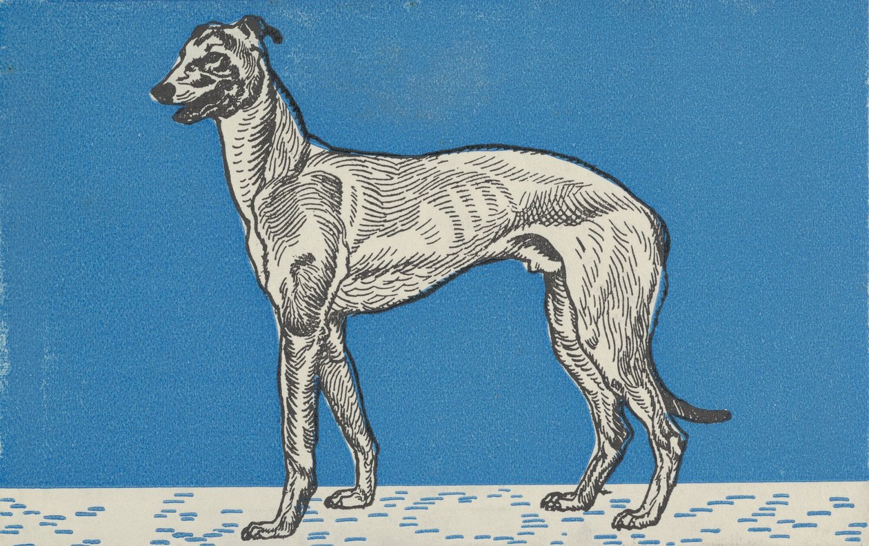 ग्रेहाउंड, 1912। द्वारा मोरित्ज़ जुंग