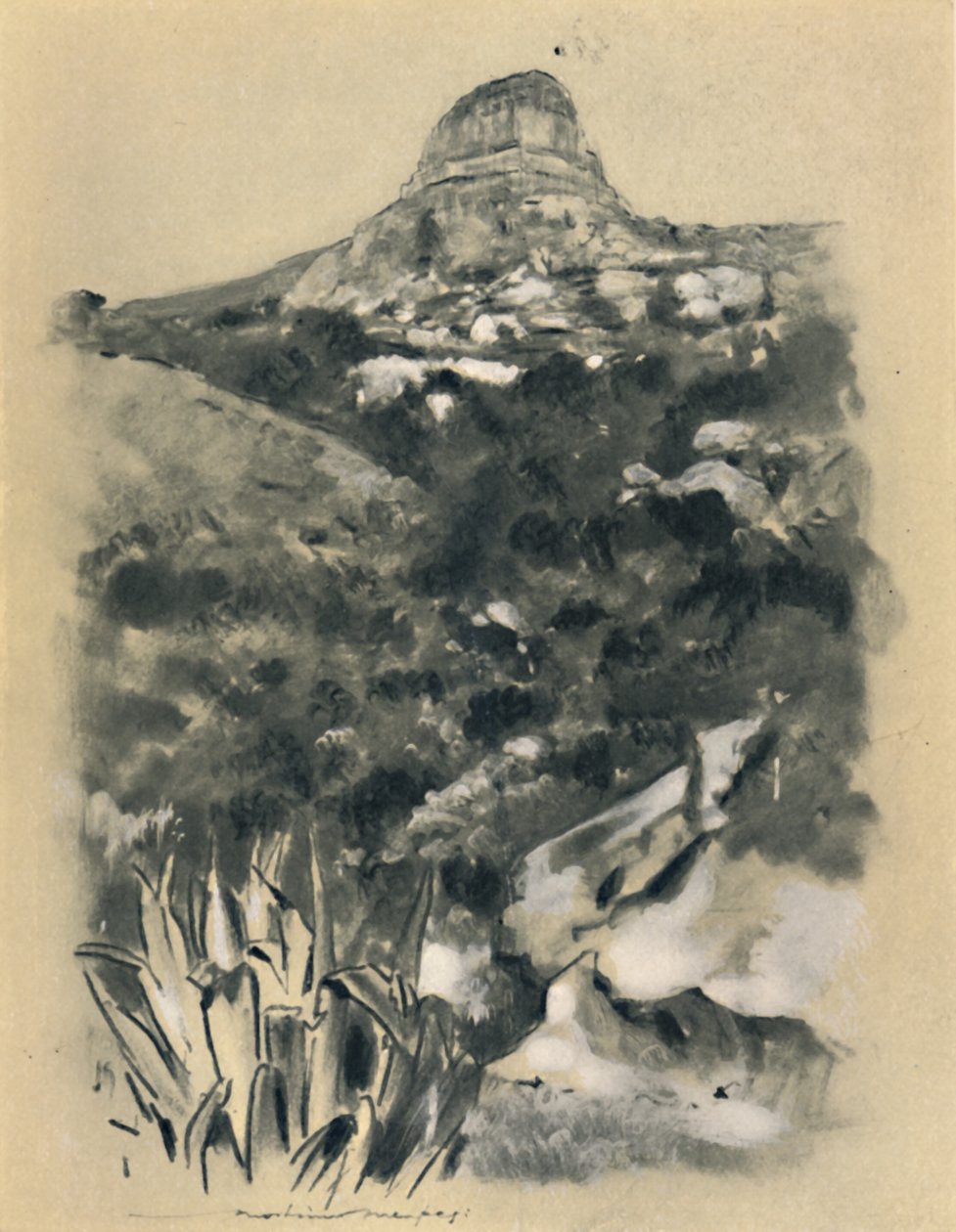 ब्लोमफोंटीन, 1903 द्वारा मोर्टिमर लुडिंगटन मेनपेस