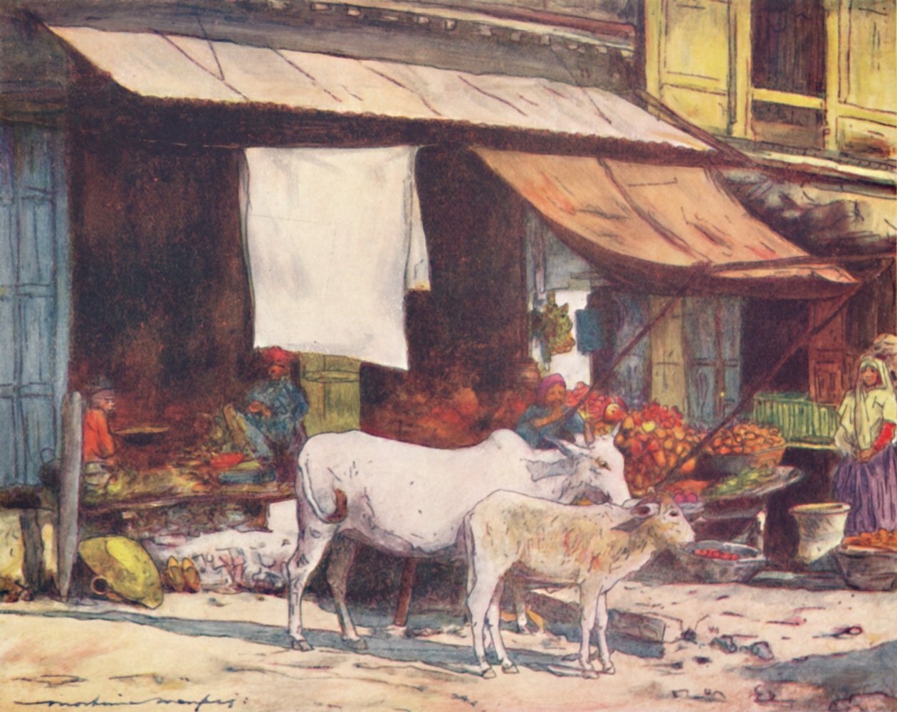 फ्रूट मार्केट, दिल्ली का एक कोना, 1905 द्वारा मोर्टिमर लुडिंगटन मेनप्स