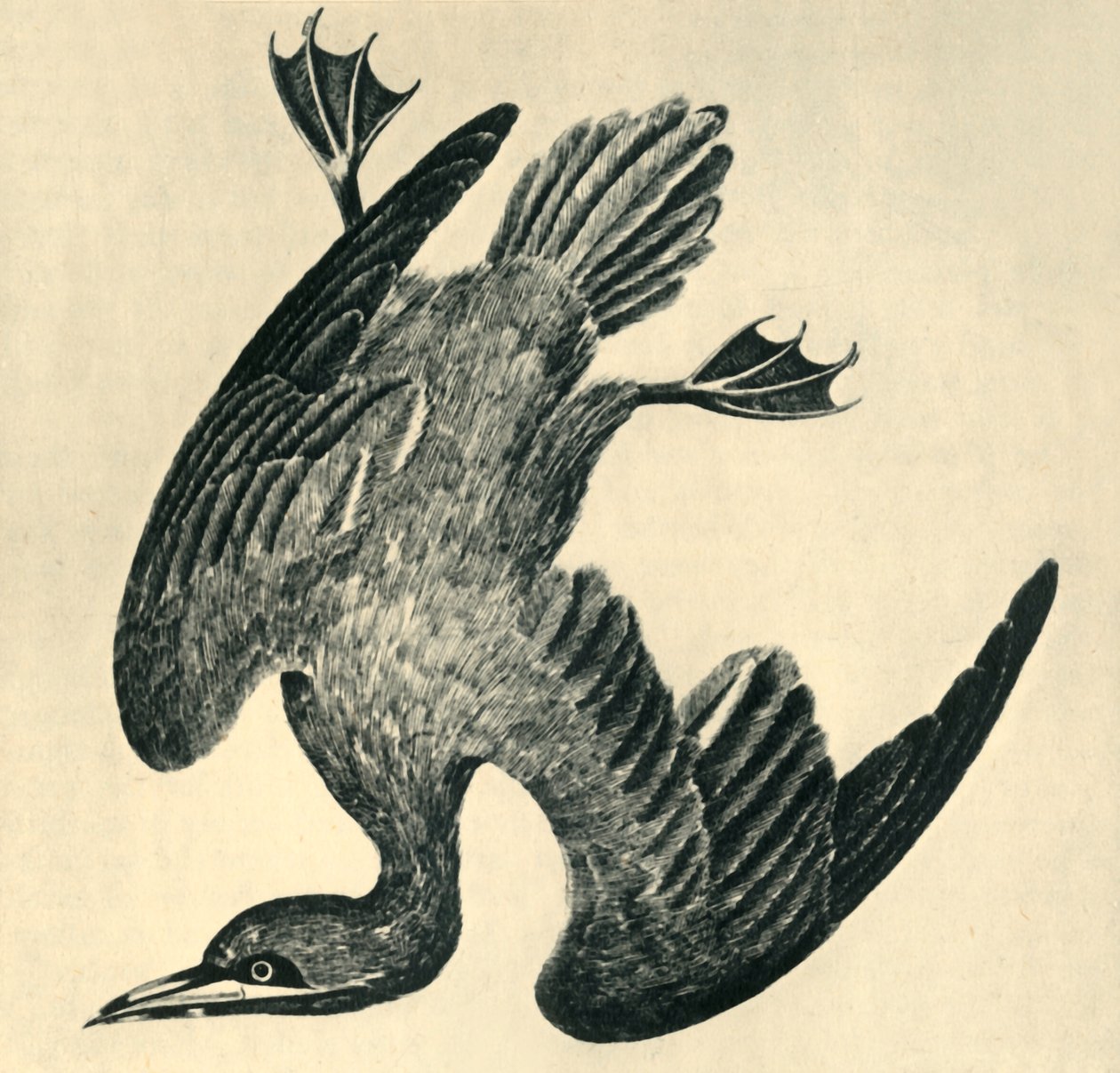 'गनेट', 1799, द्वारा मूसा ग्रिफ़िथ