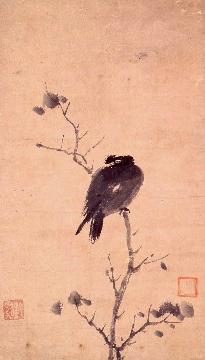 MYNA BIRD द्वारा मु झे