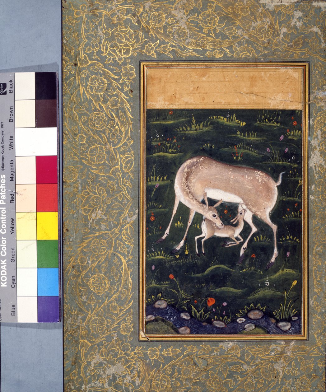 एक डो ने उसे मोहित किया, c.1560 (कागज पर अपारदर्शी पानी और सोना) [6040456 देखें] द्वारा मुगल स्कूल