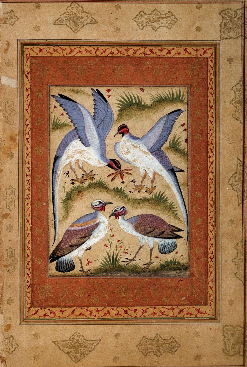 पक्षी। मोघोले स्कूल से लघु गौचे। 1590-1600। पेरिस, गुइमेट संग्रहालय, एशियाई कला का राष्ट्रीय संग्रहालय द्वारा मुगल स्कूल