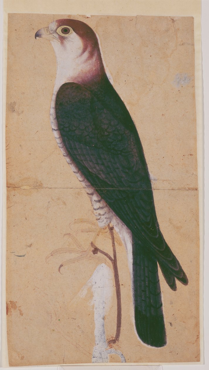  द्वारा मुगल स्कूल