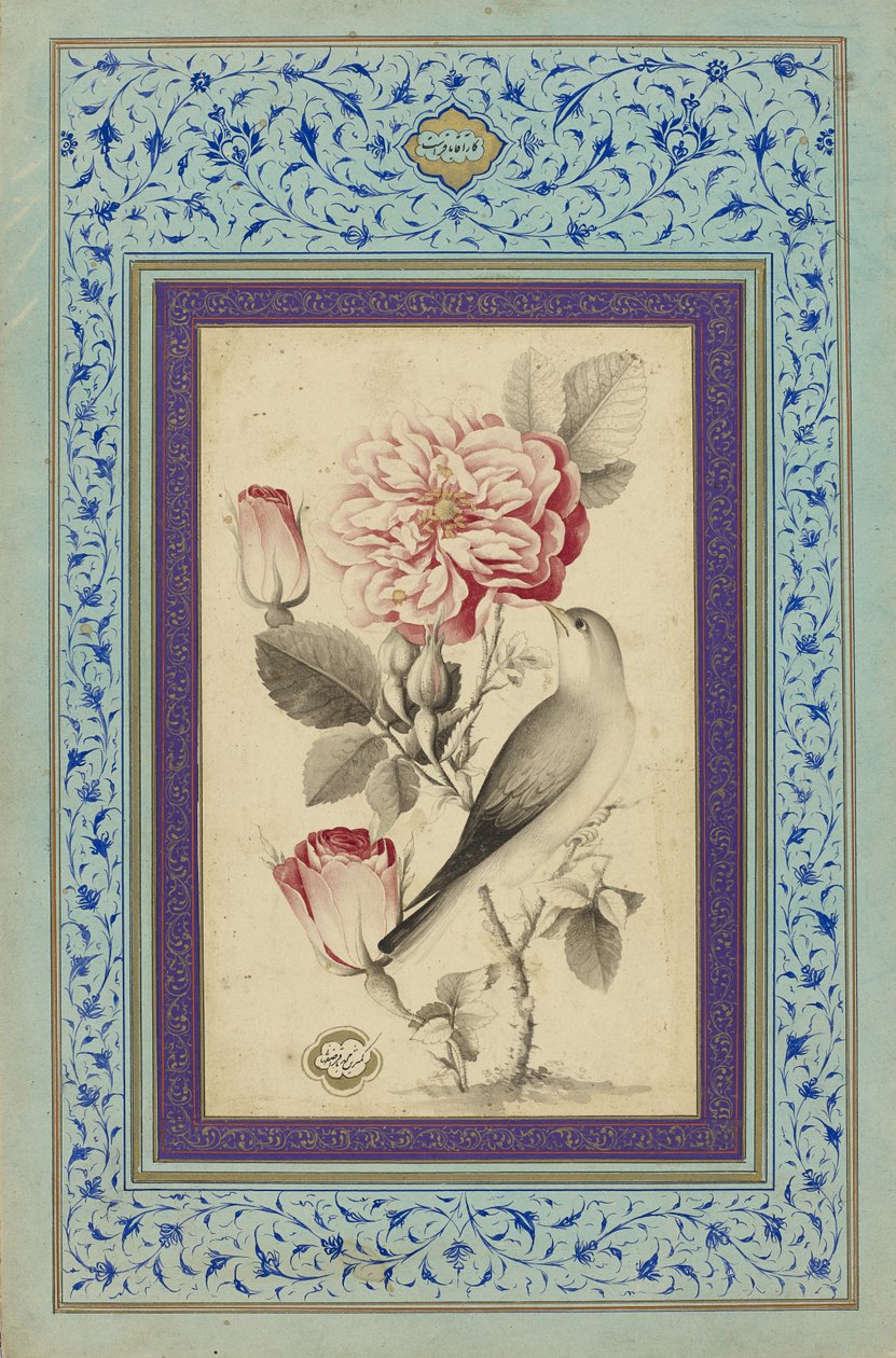  द्वारा मुहम्मद बाकिरी