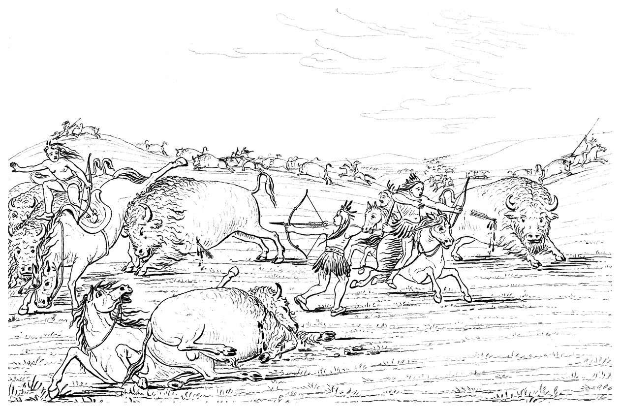 भैंस का शिकार करने वाले मूल अमेरिकी, 1841। द्वारा मायर्स एंड को