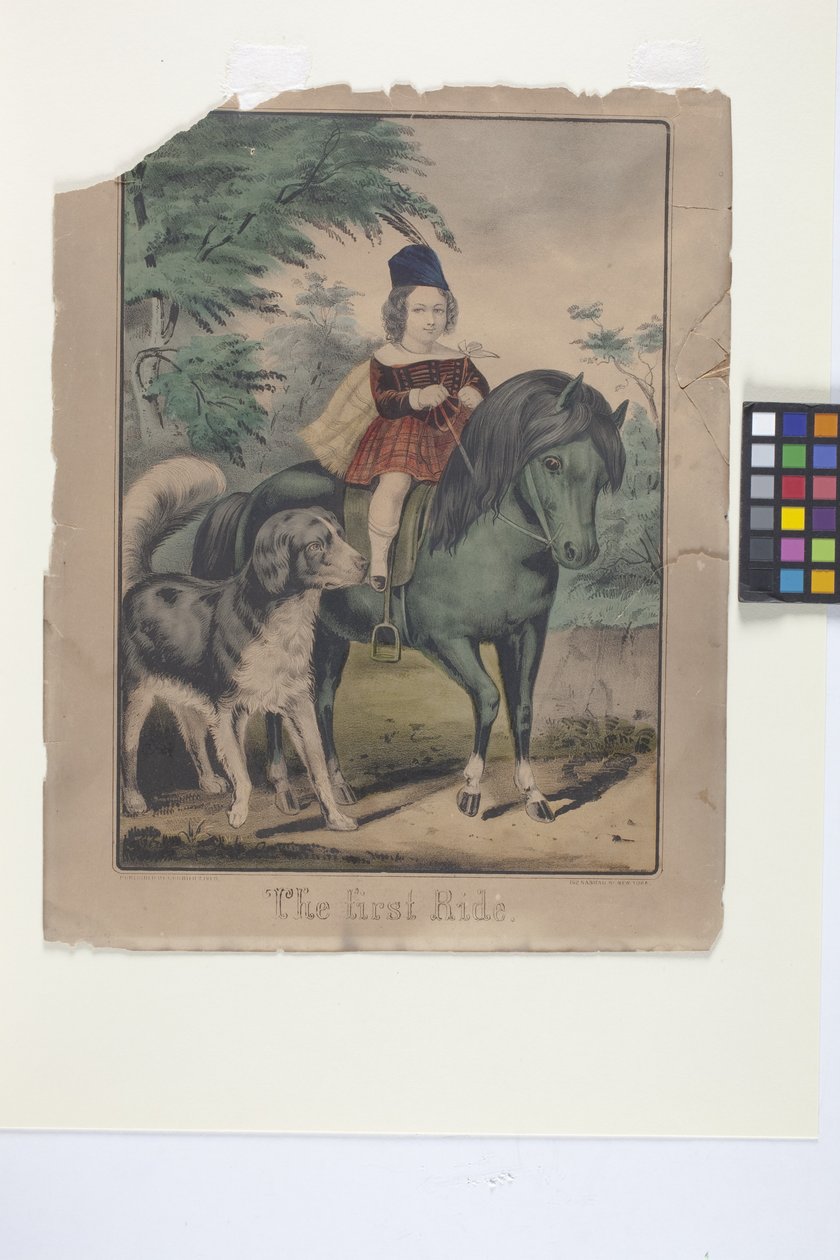  द्वारा एन. और इवेस जेएम (1824 95) क्यूरियर