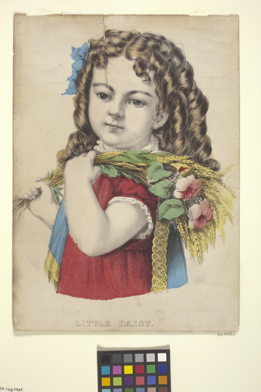  द्वारा एन. और इवेस जेएम (1824 95) क्यूरियर