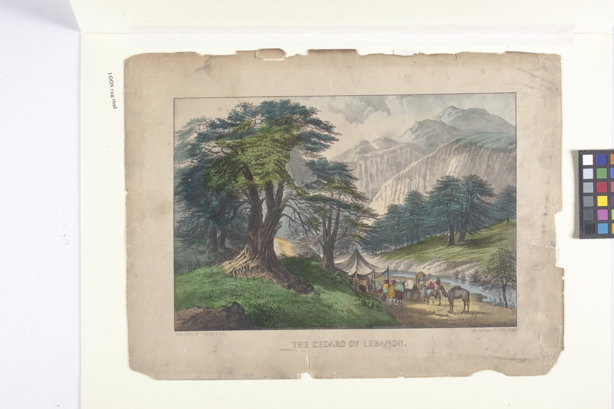  द्वारा एन. और इवेस जेएम (1824 95) क्यूरियर