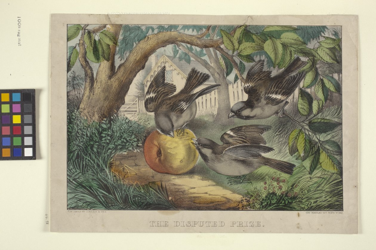  द्वारा एन. और इवेस जेएम (1824 95) क्यूरियर