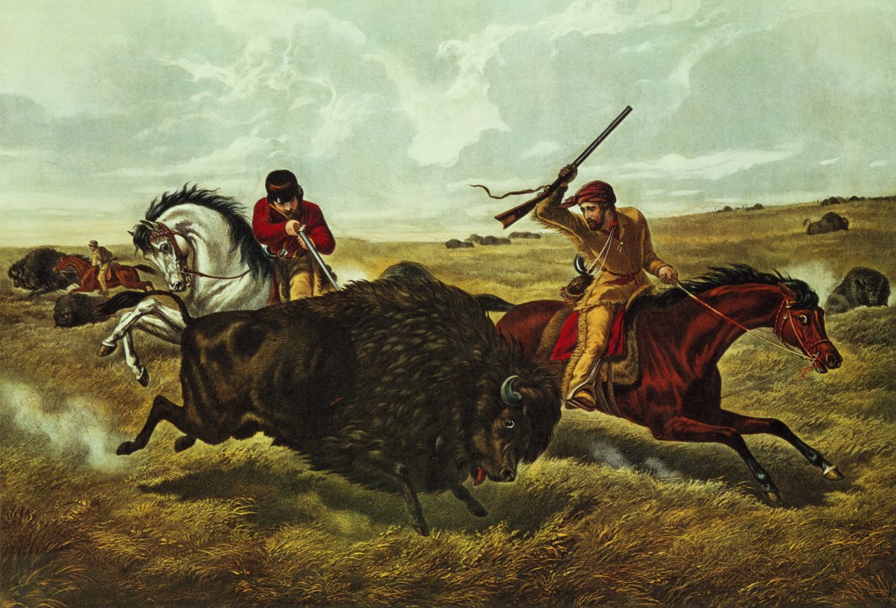प्रेयरी पर जीवन - द बफ़ेलो हंट, 1862 (रंग लिथो) द्वारा एन। और इव्स, जेएम क्यूरियर