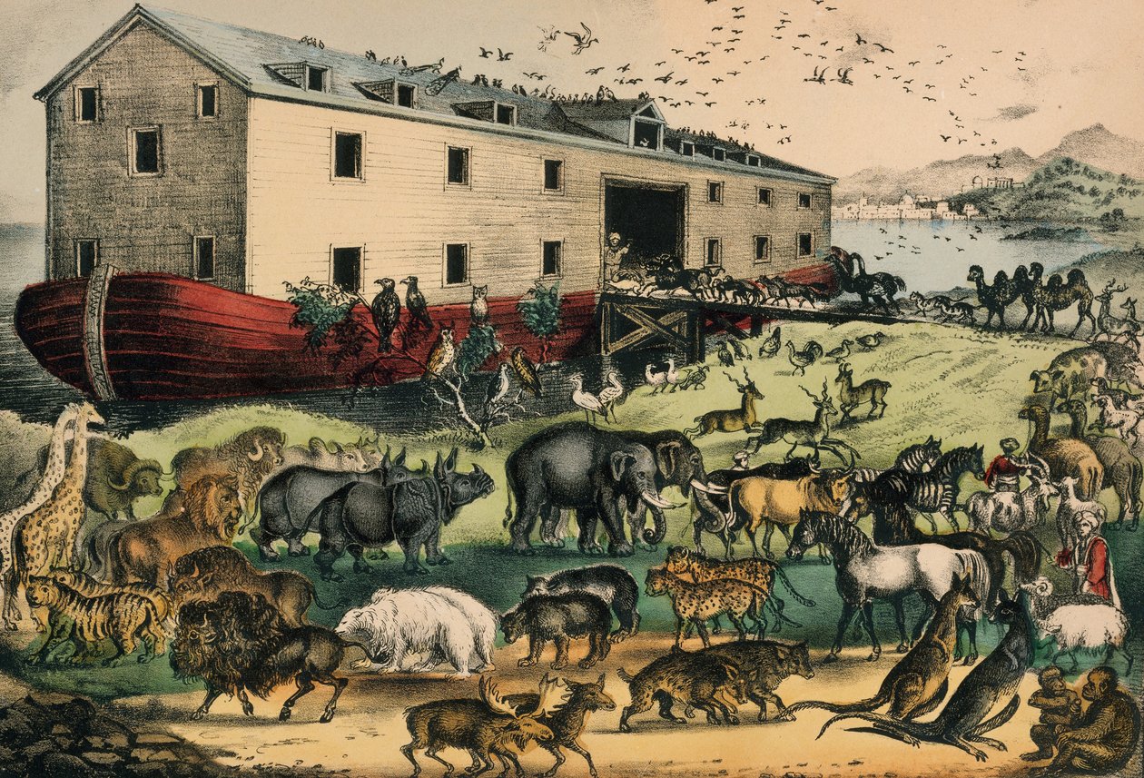 नूह आर्क, 1874–78 (हाथ से रंग वाली लिथोग्राफ) द्वारा एन। और इव्स, जेएम क्यूरियर