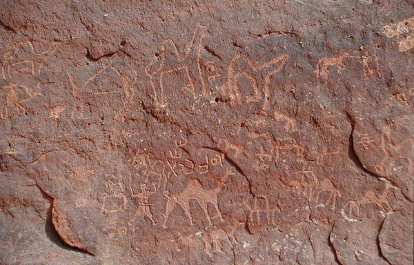 एक चट्टान की ओर से पेट्रोग्लिफ्स (रॉक पेंटिंग) द्वारा Nabatean