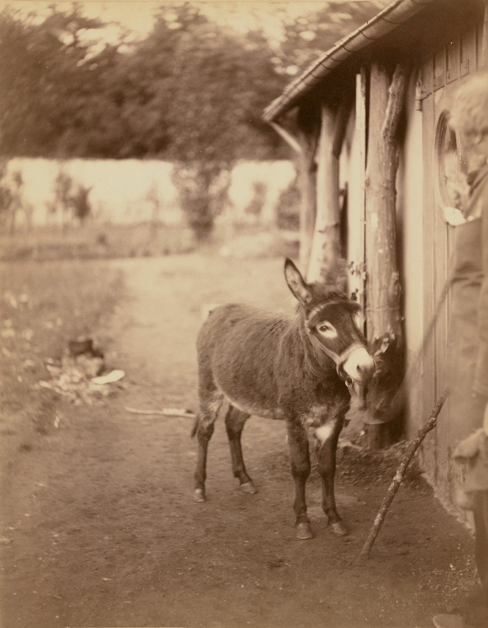  द्वारा नादर [गैसपार्ड फेलिक्स टूरनाचोन]