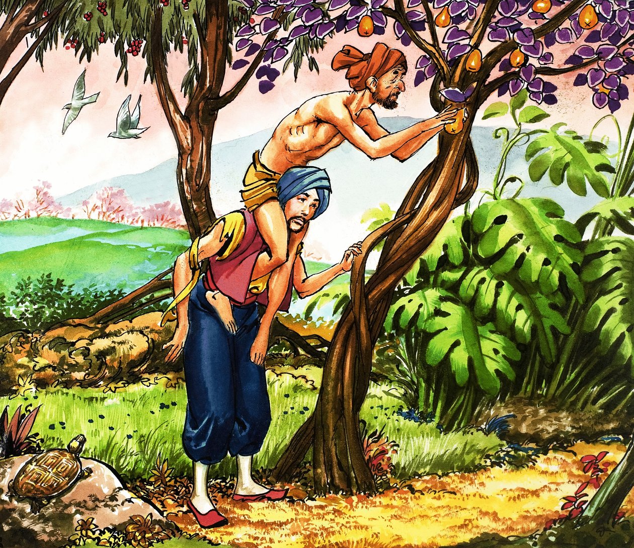  द्वारा नादिर क्विंटो