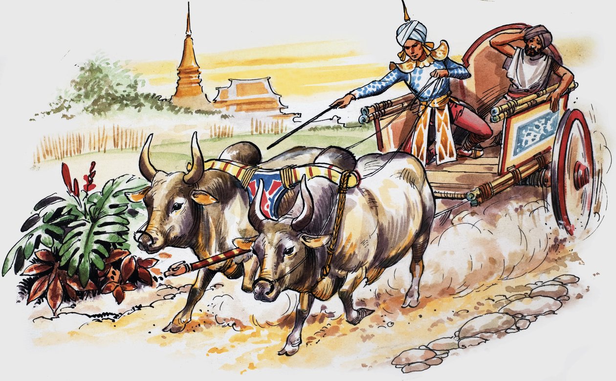  द्वारा नादिर क्विंटो