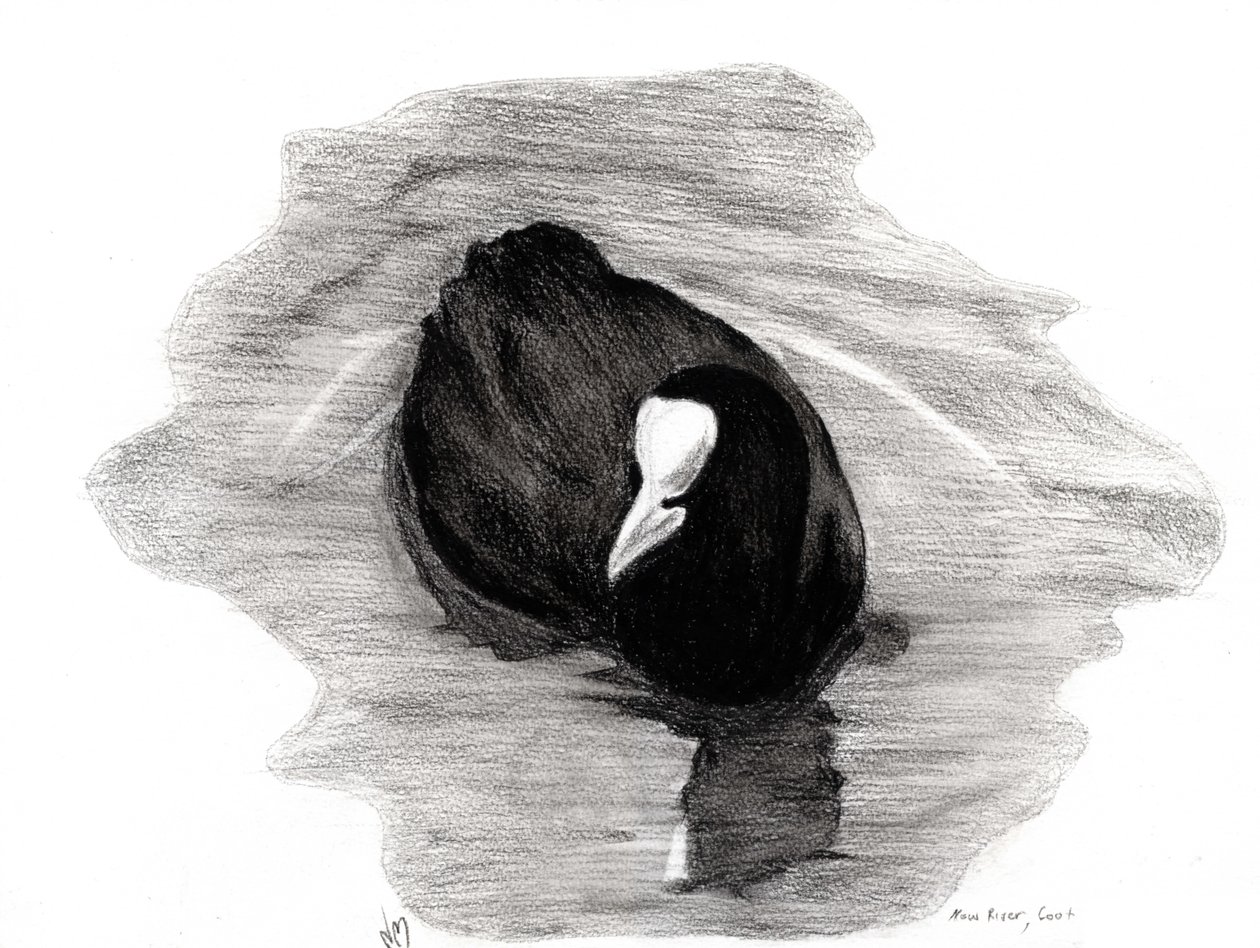 लंदन का कोट, 2013 (कागज पर लकड़ी का कोयला) द्वारा नैन्सी मोनिज़ चारलाम्बोस