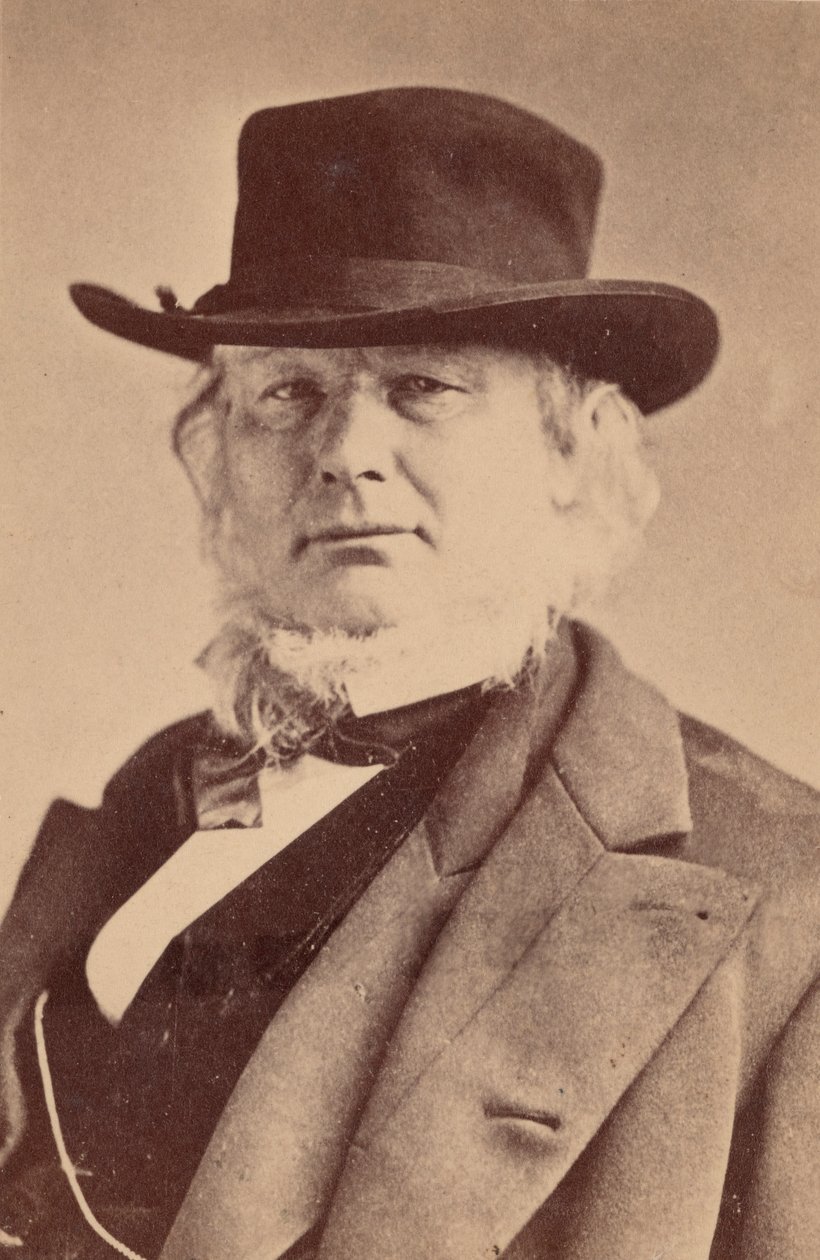 होरेस ग्रीले का पोर्ट्रेट 1811-1872, 1869। द्वारा नेपोलियन सरनी