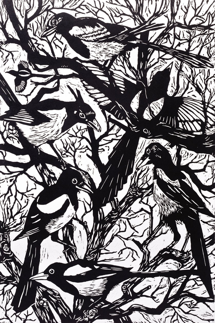 Magpies, 1997 द्वारा नेट मॉर्ले