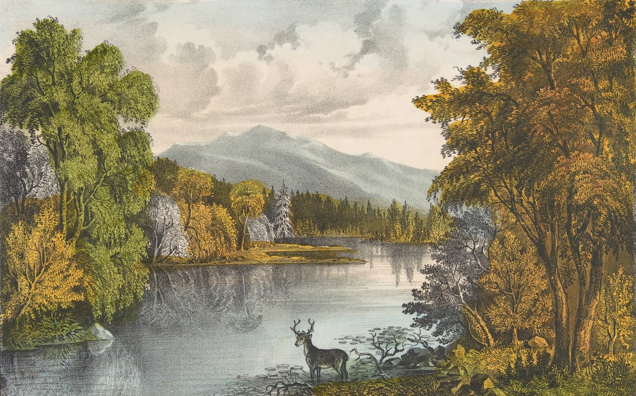 मूसहेड लेक, मेन, 1857-72।, 1857-72। निर्माता: नथानिएल क्यूरियर, जेम्स मेरिट इवेस, क्यूरियर और इवेस। द्वारा कैरियर और Ives