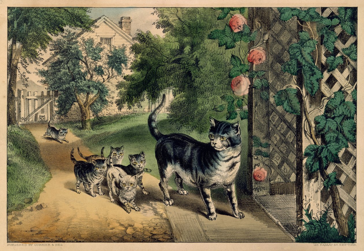 पुसी की वापसी, 1874-78।, 1874-78। निर्माता: नथानिएल क्यूरियर, जेम्स मेरिट इवेस, क्यूरियर और इवेस। द्वारा कैरियर और Ives