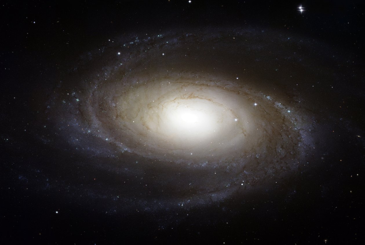 ब्राइट स्पिरल गैलेक्सी M81 हबल टेलीस्कोप से देखा गया। क्रेडिट नासा। विज्ञान खगोल विज्ञान तारकीय अंतरिक्ष द्वारा नेशनल एरोनॉटिक्स एंड स्पेस एडमिनिस्ट्रेशन नेशनल एरोनॉटिक्स एंड स्पेस एडमिनिस्ट्रेशन