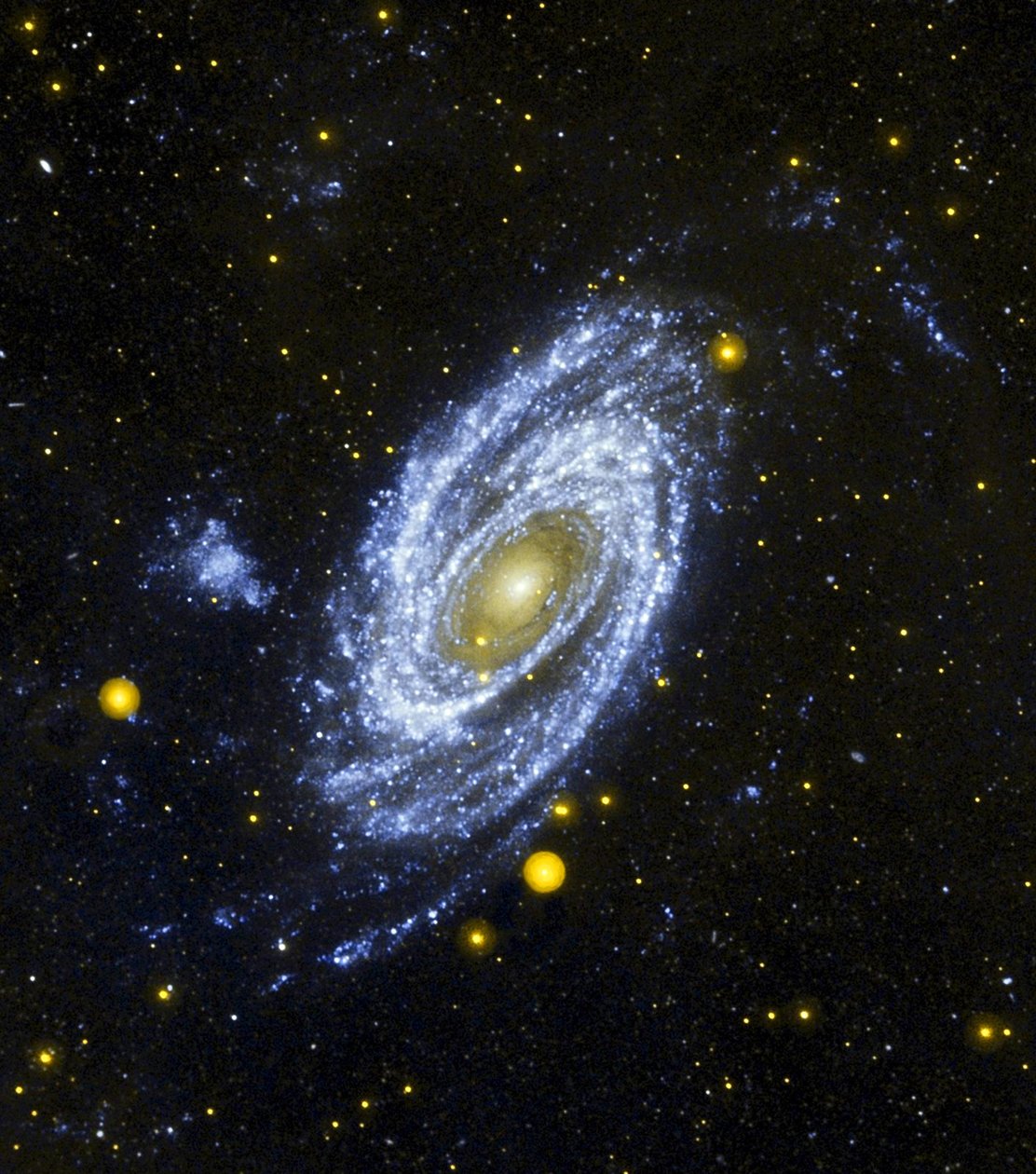 स्पिरल गैलेक्सी M81 हबल स्पेस टेलीस्कोप से देखा गया। क्रेडिट नासा। विज्ञान खगोल विज्ञान तारकीय द्वारा नेशनल एरोनॉटिक्स एंड स्पेस एडमिनिस्ट्रेशन नेशनल एरोनॉटिक्स एंड स्पेस एडमिनिस्ट्रेशन