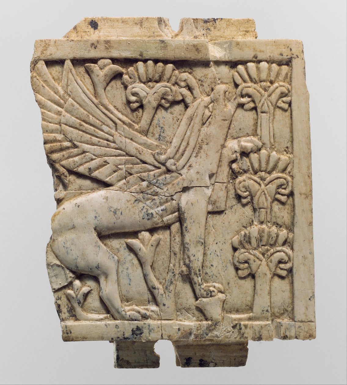 फर्नीचर पट्टिका एक पुष्प परिदृश्य में एक ग्रिफिन के साथ नक्काशीदार, c.9th-8 वीं शताब्दी ईसा पूर्व (हाथी दांत) द्वारा नव असीरियन