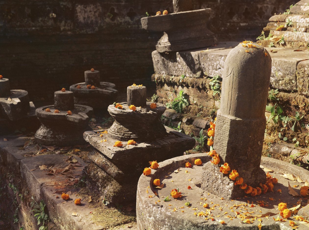 पशुपतिनाथ मंदिर में शिवलिंग द्वारा नेपाली स्कूल