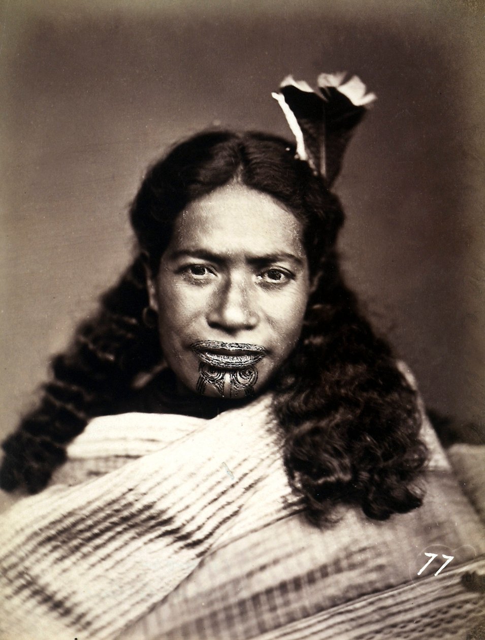 टाट वाले चेहरे के साथ एक माओरी का चित्र, c.1886-88 द्वारा न्यूजीलैंड फोटोग्राफर
