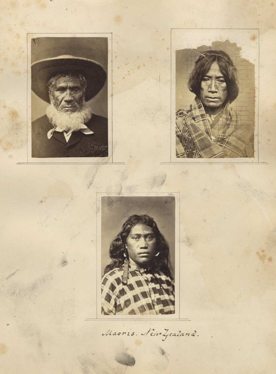 Maoris, न्यूजीलैंड, c.1865 (एल्बम प्रिंट) द्वारा न्यू जैंडर फोटोग्राफर