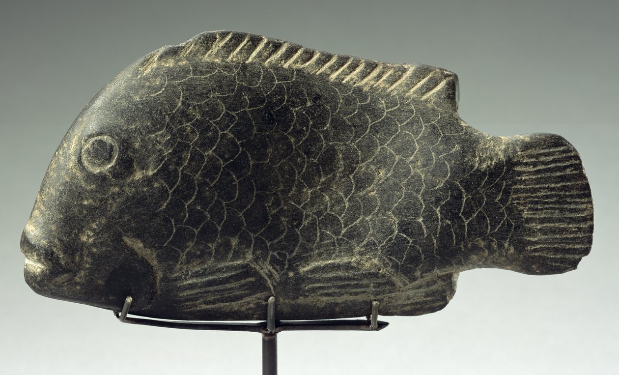 मछली, 1540-1069 ईसा पूर्व (कठोर काला पत्थर) द्वारा न्यू किंगडम मिस्र