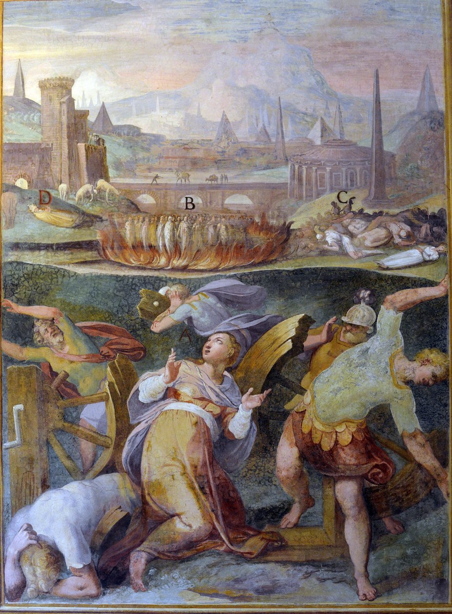  द्वारा निकोलो ने पोमारैन्सियो सर्किग्नानिक कहा