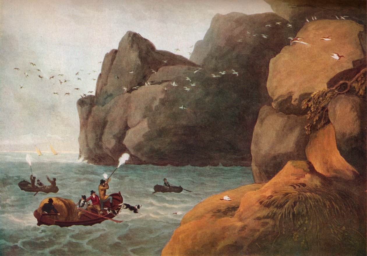 पफिन शूटिंग, c1806 द्वारा निकोलस और नोट